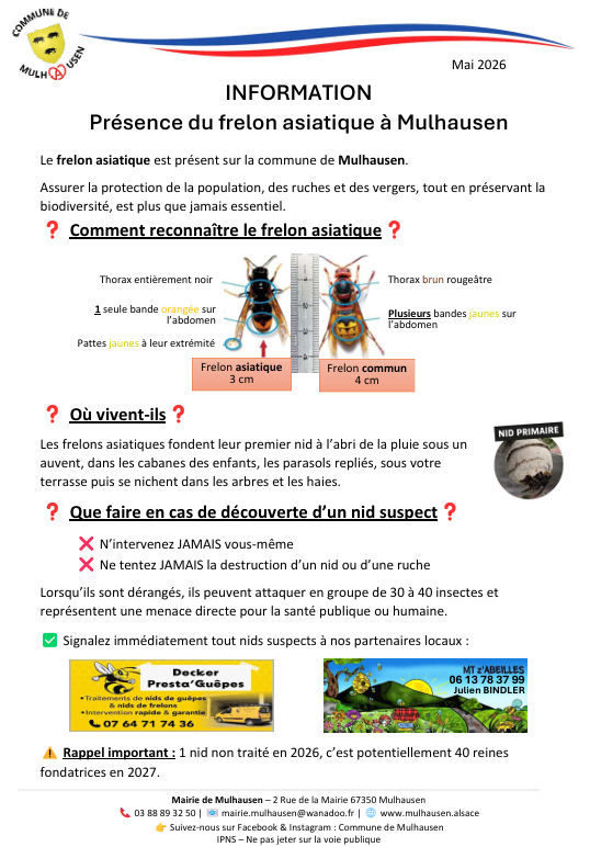 frelon.png
